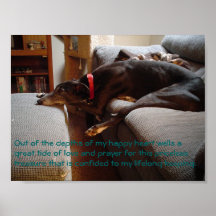 Retired racer posters