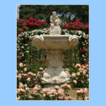 Retiro Park Rose Garden, Madrid Spain Postcard postcards