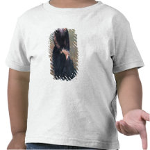 Retrato de señora Eduardo Pailleron, 1879 Camiseta