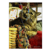 RETRATO DEL CAT TARJETON