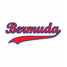 Women's Bermuda Short Sleeve Shirts
