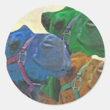 retro camels round stickers