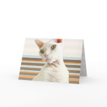 Retro Casper | Mother's Day Card | Rex Cats