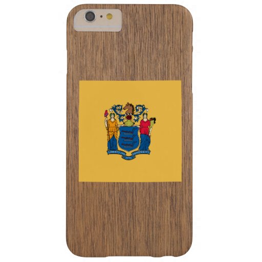 Retro New Jersey Flag Barely There iPhone 6 Plus Case