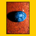 ~RETRO SNAIL~ posters
