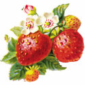 Retro Strawberry bag