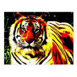 Retro Tiger Pop Art Post Card