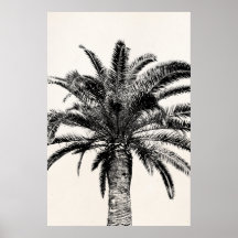 Retro Tropical Island Palm Tree in Black and White Print