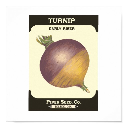 Retro Turnip Vegetable Seed Packet Poster Print Zazzle