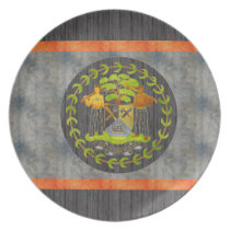 Retro Vintage Belize Flag Party Plate