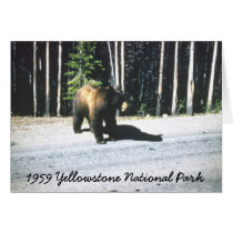 Retro Yellowstone National Park Bear Card cards