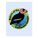 Return of the California Condor Postcard