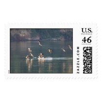 Return postage by AKABYAM Return postage