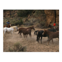 Reunión del caballo tarjetas postales