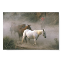 Reunión del vaquero posters