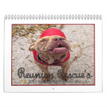 Reunion Rescue 2013 Singing Pit Bulls Calendar