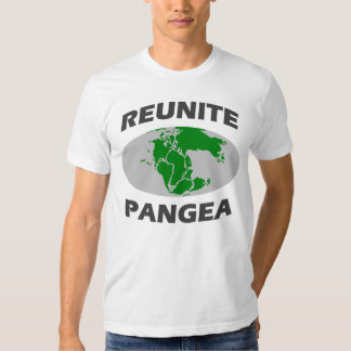 together pangea t shirt