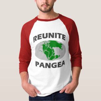 together pangea t shirt