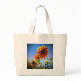 Reusable grocery bags