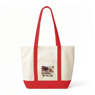 Reusable Shopping Bag 1 by samshropshire