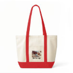 Reusable Shopping Bag 1