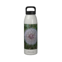 Reusable water bottle water bottles