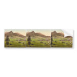 Reutte, general view, Tyrol, Austro-Hungary rare P Bumper Stickers