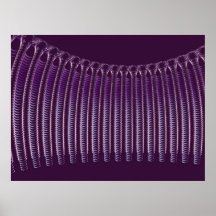 Reverb Print