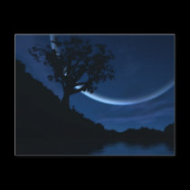 Reverie Postcard
