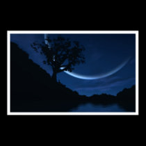 Reverie posters