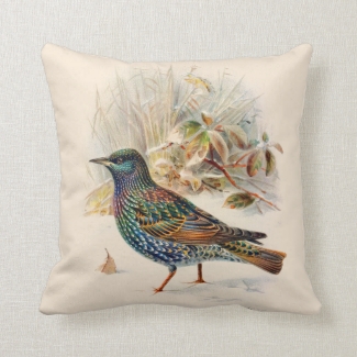 Reversible Vintage Birds Nature Wildlife No. 2