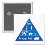 Revised Food Chain Pins