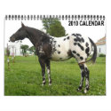 REVISED--JOHN AND MARIE CRAIG'S FAMILY APPALOOSAS calendars