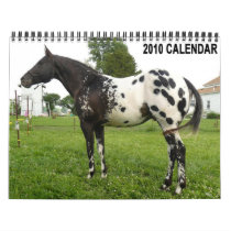 REVISED--JOHN AND MARIE CRAIG'S FAMILY APPALOOSAS calendars