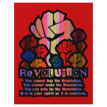 REVOLUTION FLYERS