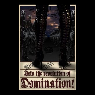 Revolution of DomiNation! Poster