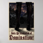 Revolution of DomiNation! Poster