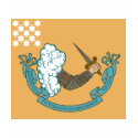 Revolutionary War Battle Flag t-shirts