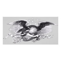 Revolutionary War Eagle Photo Card