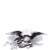 Revolutionary War Eagle Photo Sculpture