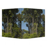 Rewa River edge Rainforest Guyana binders