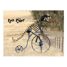 Rex Rider Postcard