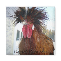 Rex Rooster Magnet by DanielleABean Rex Rooster Magnet