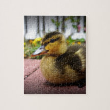 Reynolds Jigsaw Puzzles