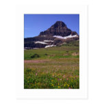 "Reynolds Mountain" Postcard