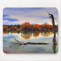 Reynolds Pond Mousepad