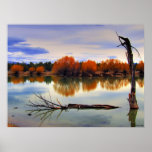 Reynolds Pond Posters