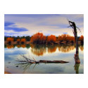 Reynolds Pond posters