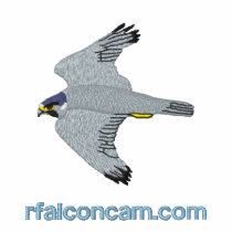 Rfalconcam Black Embroidered Shirt embroidered shirts by rfalconcam Rfalconcam Black Embroidered Shirt embroidered shirts
