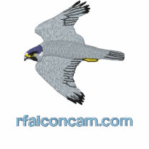 Rfalconcam Dark Embroidered Shirt embroidered shirts